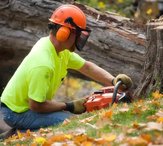 tree services Garrison